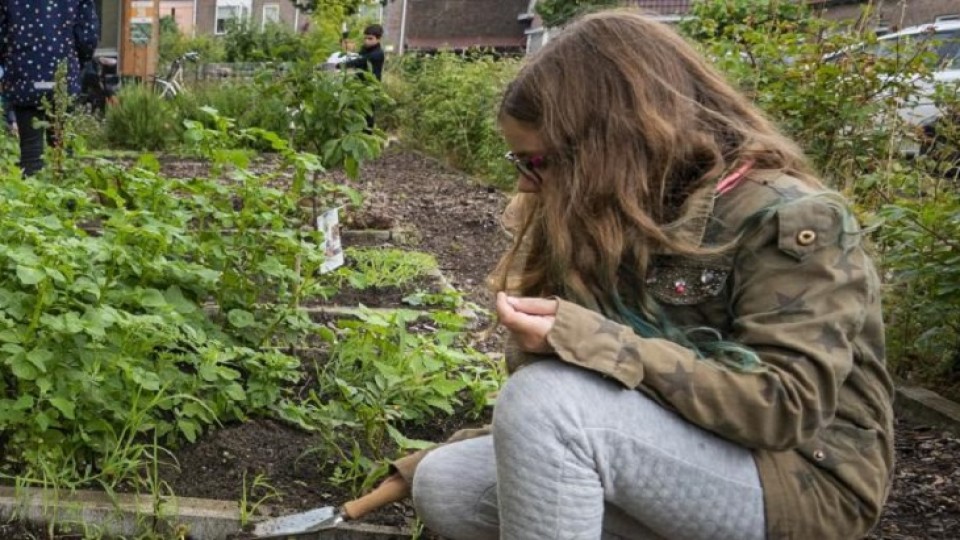 Podcast Goed Voedsel moestuin