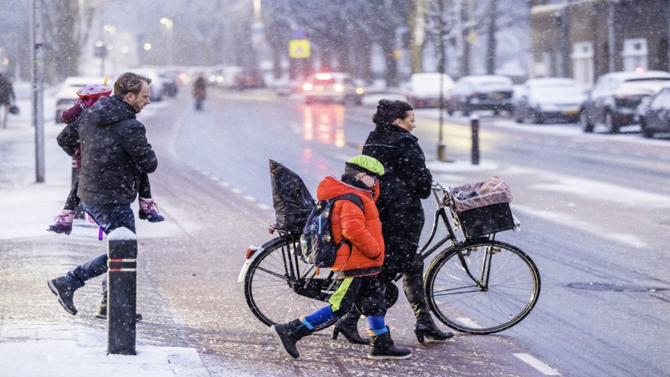 kou sneeuw
