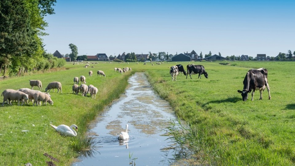 regionaal nederland