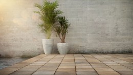 Grote verschillen in subsidiëren tuinvergroening