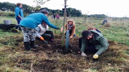 ‘Kansen van voedselbos blijven liggen’
