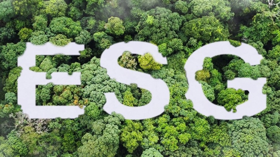 ESG