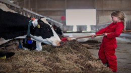 Gelderland belooft boeren steun, geen geld