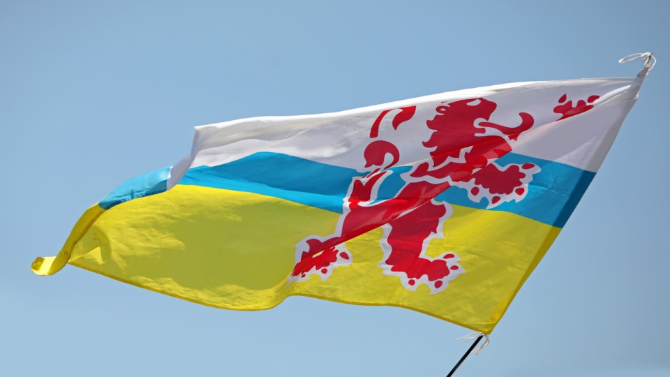 De vlag van Limburg