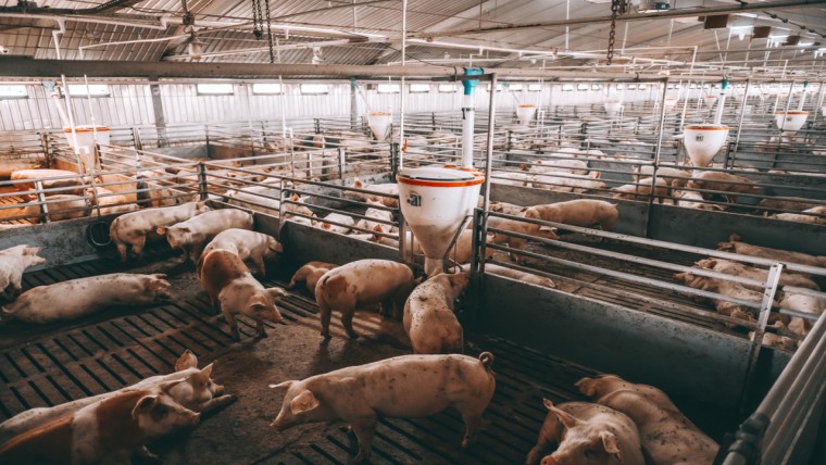 ‘Je wilt geen kloof tussen burger en boer’