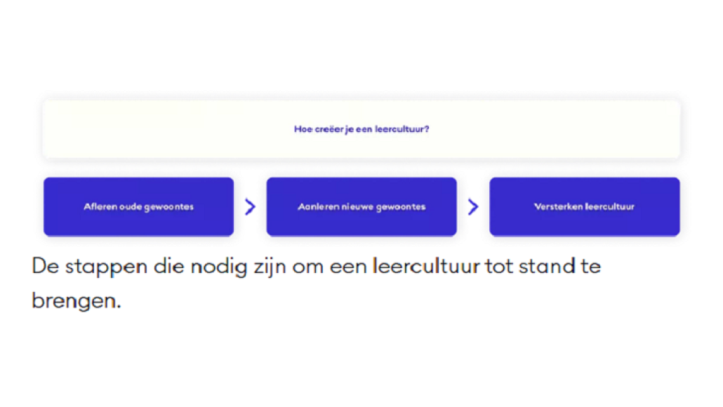 Leercultuur
