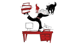 Tussen beleidslijnen en politieke context