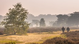 Zuid-Holland schrapt commissie leefomgeving