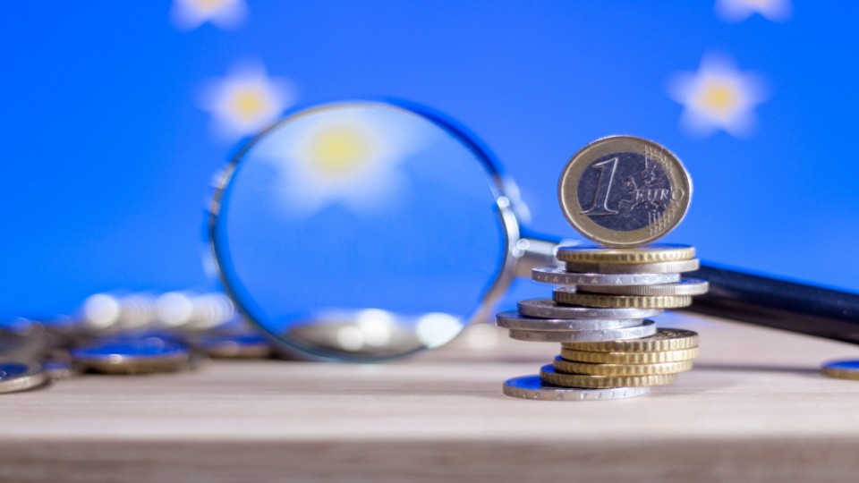 Vooral misbruik EU-subsidies in landbouwsector.