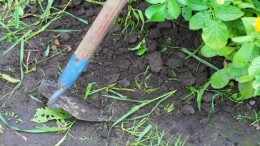 Kabinet schrapt toch niet alle specifieke uitkeringen