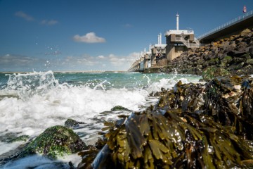Nieuwe evacuatietool moet evacuatieplanning in Nederland versterken