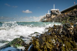 Nieuwe evacuatietool moet evacuatieplanning in Nederland versterken