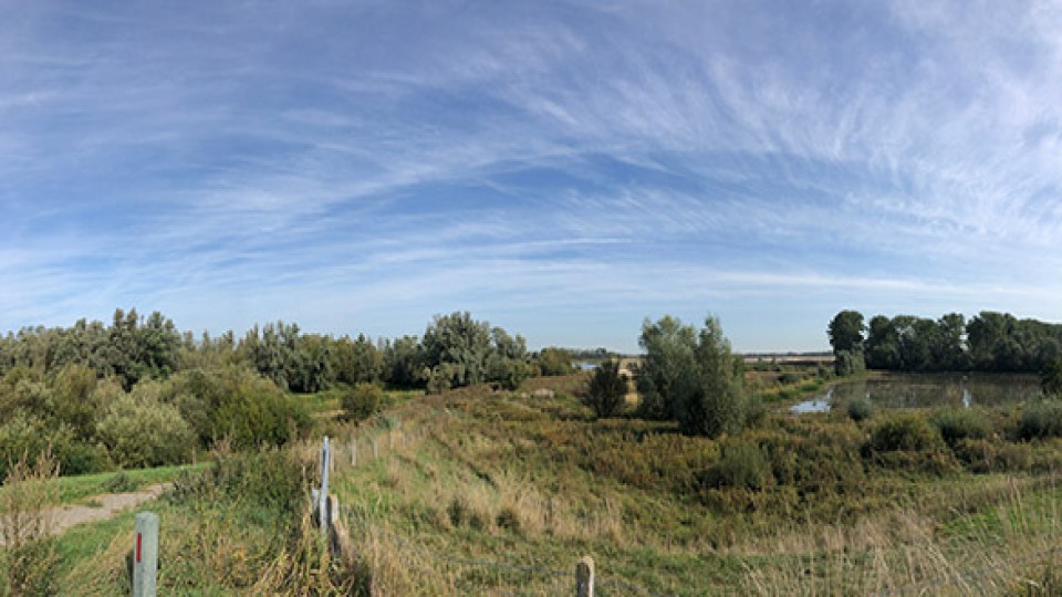 natuur-gelderland---shutterstock-1514550074.jpg