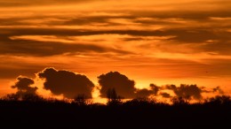 ‘Plotsklaps weer hele groep bedrijven in de illegaliteit’