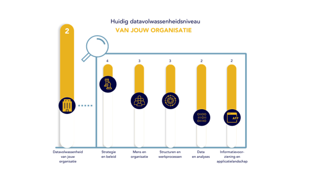 Datavolwassenheidsniveau