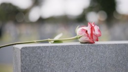 Leren van omgang complottheorie Bodegraven