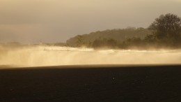 Aantal waterschappen handhaaft sproeiverbod