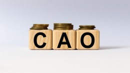 Bruins Slot tempert verwachtingen opplussen salaris ambtenaar