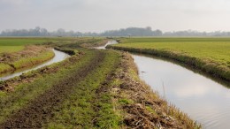 Wie neemt de verantwoordelijkheid voor scherpe keuzes?