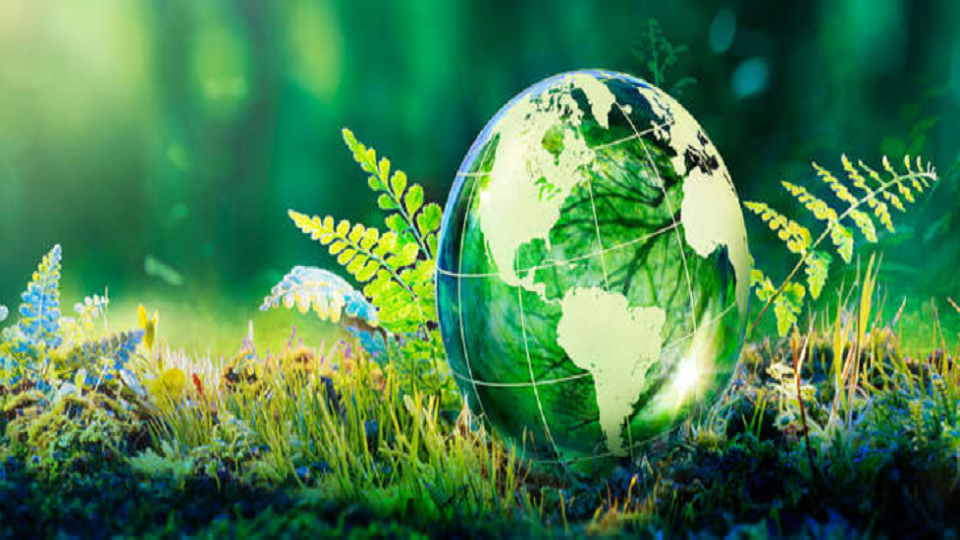 Sustainability Readiness Tool