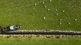 Tweede Kamer legt minister Wiersma stikstofdeadlines op