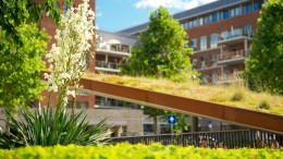 Participatietafel Natuurinclusief Bouwen maakt balans op