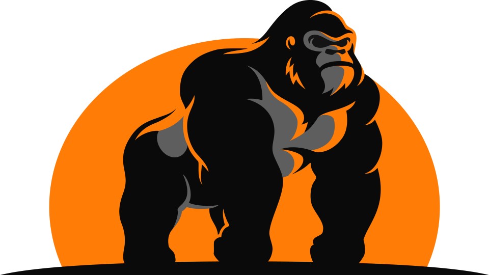 Gorilla