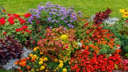 Groen voorbeeld doet groen volgen