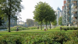 Transitie van vakgericht naar gebiedsgericht beheer