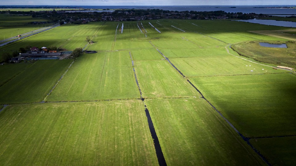 Weilanden nabij Broek in Waterland, in Noord-Holland.