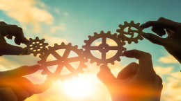 Terug naar een organische visie op besturen