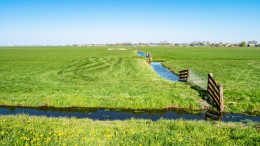 Kabinet wil tempo maken met gebiedsaanpak