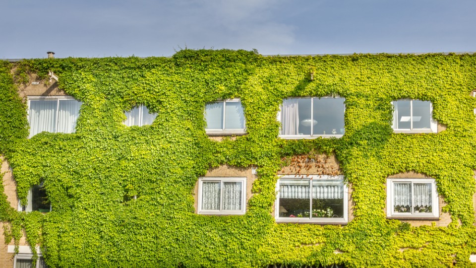 Ecologisch gebouw met de muur vol planten. Bron: Shutterstock