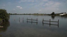 Vaak gif in Nederlands recreatiewater