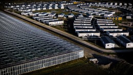 Essay: It’s the economy, stupid