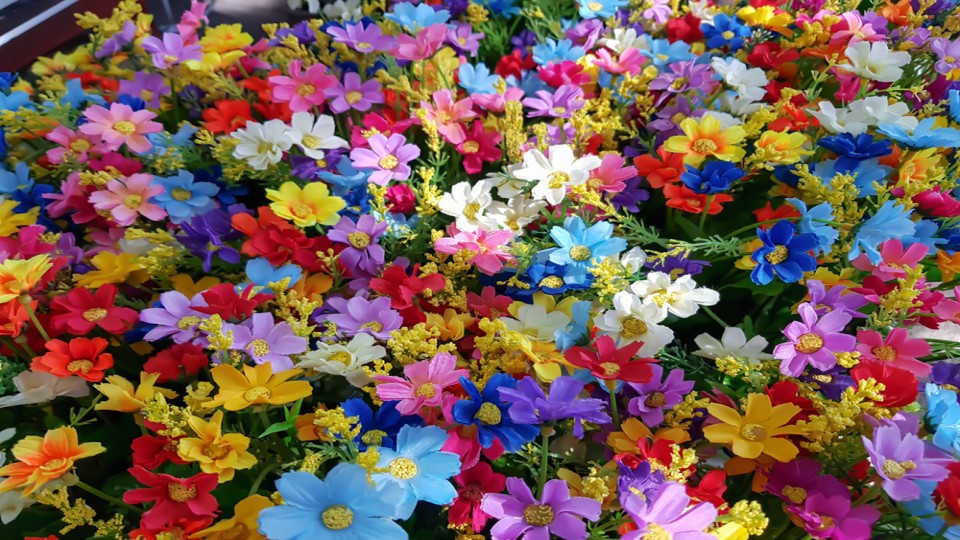 Vrolijke bloemen