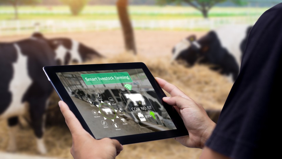 Boer in stal met tablet