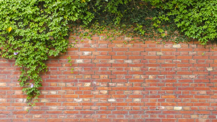 Utrecht sluit 'evenwichtig' pact groenontwikkeling