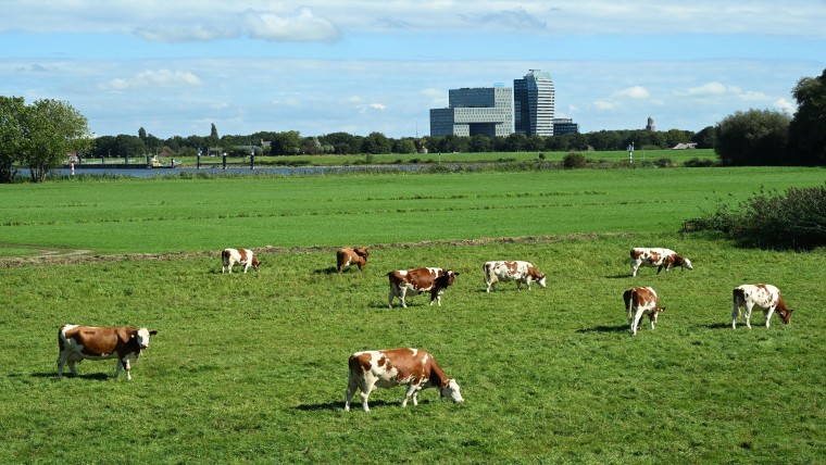 In Overijssel geen ADC-toets als oplossing voor PAS-melders