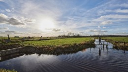 Klimaatacties steden en bedrijven halen weinig uit