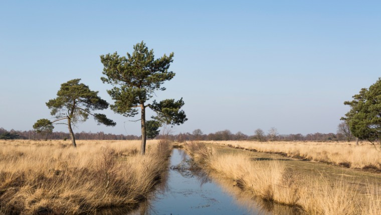 De Peel vernat zonder boerenzakdoek