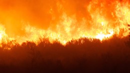 Onderzoekers erg bezorgd om toenemend aantal natuurbranden