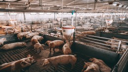 Tik op vingers gemeente én wetgever in Brabantse stankzaken