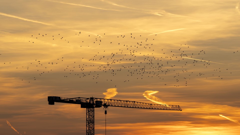 Een bouwkraan bij een ondergaande zon, met kauwtjes in de lucht.