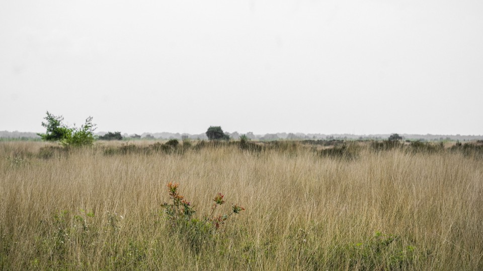 Natuurpark de Groote Peel is één van de Natura 2000-gebieden in Noord-Brabant.