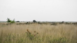 Volgen andere provincies de Brabantse vergunningenstop?