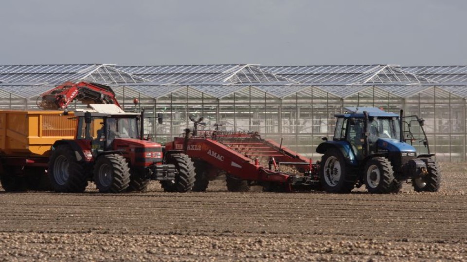 Landbouw