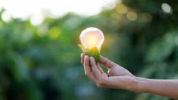 Project BioZon: tegen kostprijs+ energie leveren aan leden