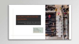 Inzicht in multifunctionele organisaties cultuursector