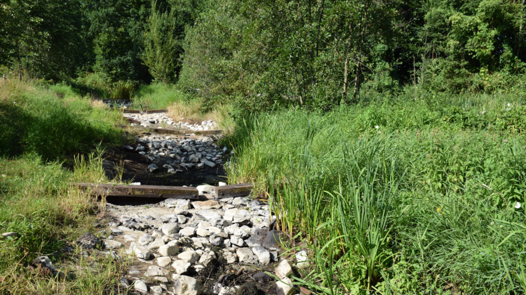 Droogte